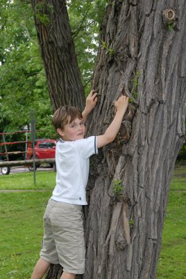 MMB_6800.JPG