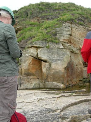 Seaton sluice 3.jpg