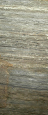 Sed. features Hartley bay.jpg