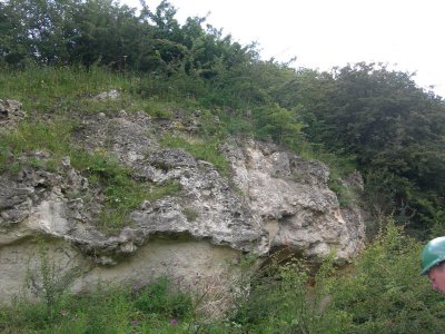 Ryhope cutting anhydrites, concretionary limestone.jpg