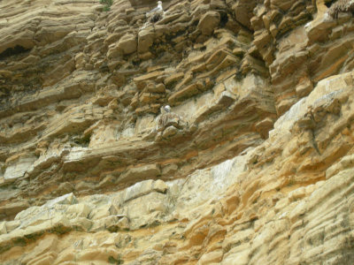 Marsden bay 4.jpg