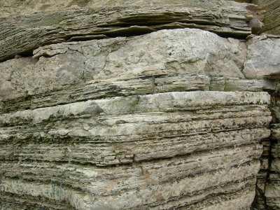 Marsden bay 5.jpg