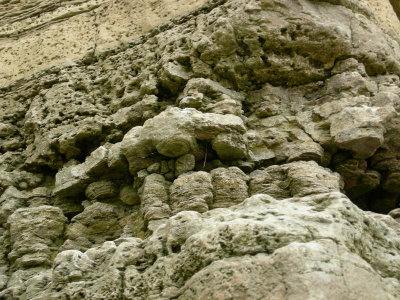 Marsden bay anhydrite effects.jpg