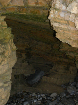 Marsden bay cave.jpg