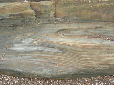 Marsden bay cross-strat 1.jpg