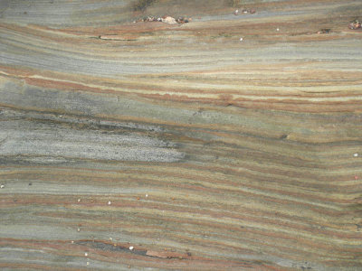 Marsden bay cross-strat 2.jpg
