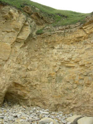 Trow point 4.jpg
