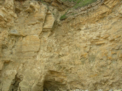 Trow point 5.jpg