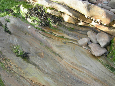 Scremerston fine beds 3.jpg