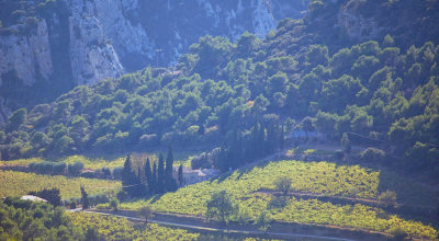 Vaucluse scene.jpg