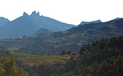 Vaucluse scene2.jpg