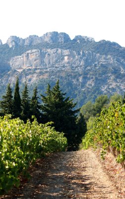 Les Dentelles1.jpg