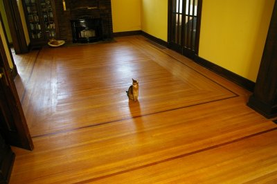 Refinishing the Downstairs Floors, April 2007