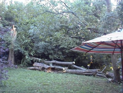 Sept. 4th, 2003