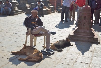 Napping amongst the bustle, Swayambhunath (aka the Monkey Temple)