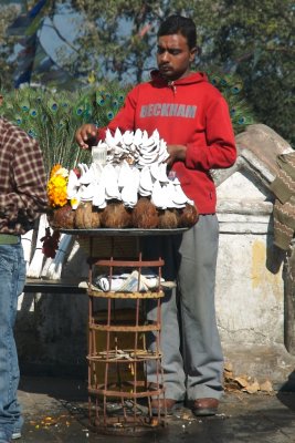 Beckham fan selling coconut slices, Swayambhunath (aka the Monkey Temple)