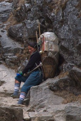 Nepali Trader on her way to a bazaar