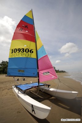 HBC06_0087w.jpg