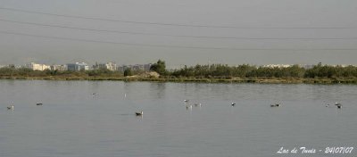 Tunis lake 6