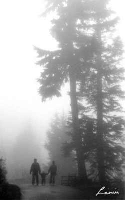 grouse mountain  B&W