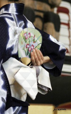 Kimono  Show 8