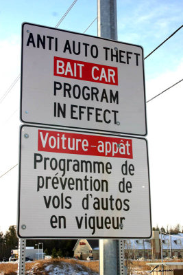 bait car