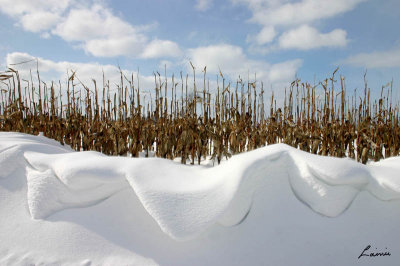 snow drifts 4 280