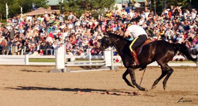 RCMP Musical Ride  2 2007 128