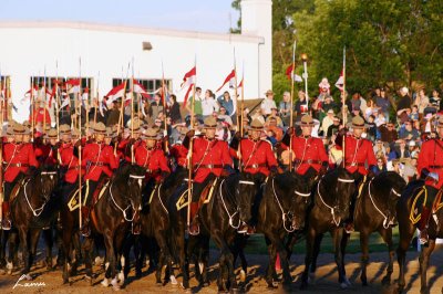 RCMP Musical Ride 2007 045