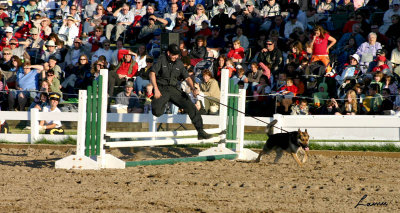 RCMP Musical Ride  2 2007 237