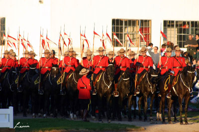 RCMP Musical Ride 2007 038