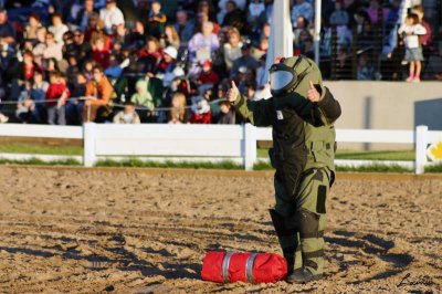 RCMP Musical Ride 2007 003