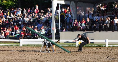 RCMP Musical Ride 2 2007 170