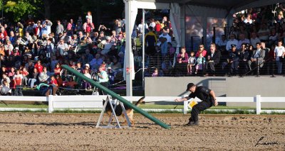 RCMP Musical Ride  2 2007 170