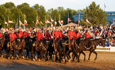 RCMP Musical Ride 2007 090