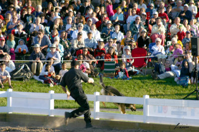 RCMP Musical Ride  2 2007 238