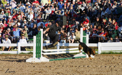 RCMP Musical Ride  2 2007 222