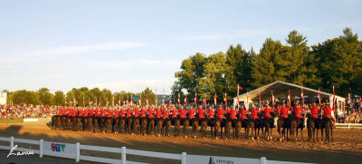 RCMP Musical Ride 2007 058