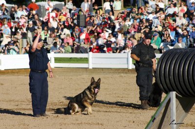 RCMP Musical Ride  2 2007 196