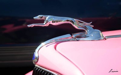 classic car details 46