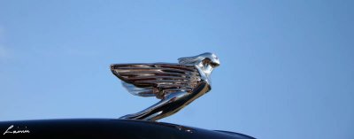 classic car details 69