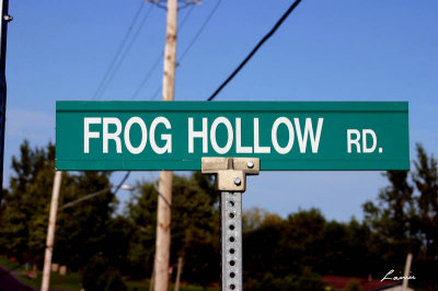 frog hollow