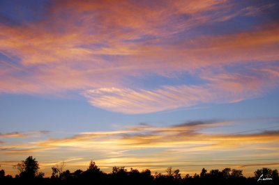 twilight 
