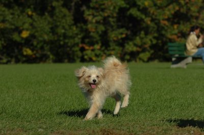 Oct8_06_362.JPG