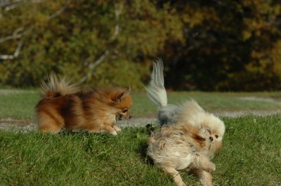 Oct8_06_164.JPG