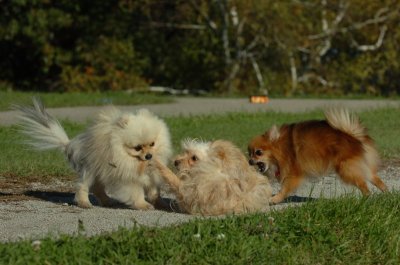Oct8_06_203.JPG