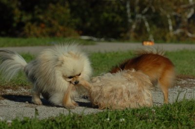 Oct8_06_204.JPG