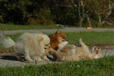 Oct8_06_209.JPG
