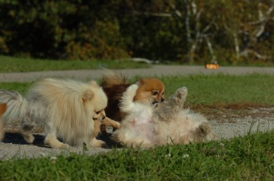 Oct8_06_211.JPG