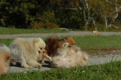 Oct8_06_212.JPG
